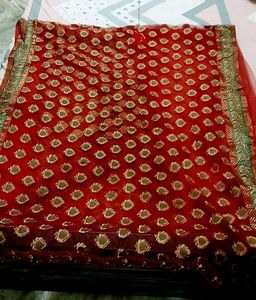 Light Weight Net Saree