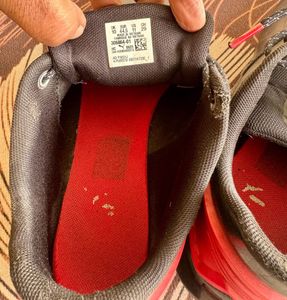 Ferrari Puma Black Casual Shoes