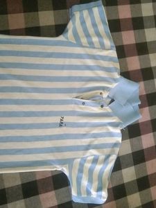 Zara Striped Polo T-Shirt