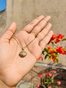 Shell Pendant Necklace