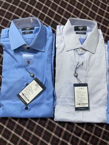 New EIGIO Shirts - Slim Fit