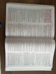 Lucent Book In English