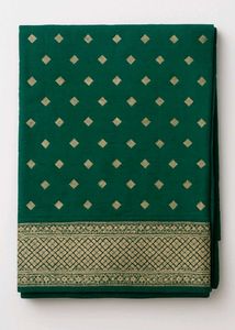 Green Saree with Gold Accents
