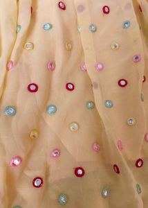 Embroidered Indian Dress