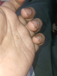 Fake Dimond
