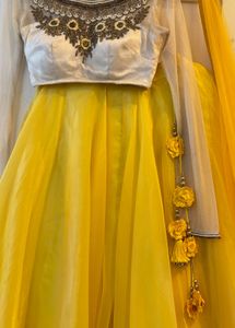 Embroidered Lehenga Choli