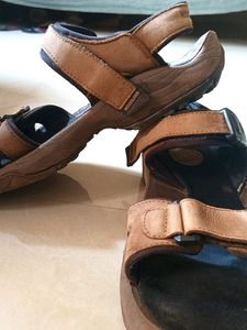 Woodland Brown Men's Sandals