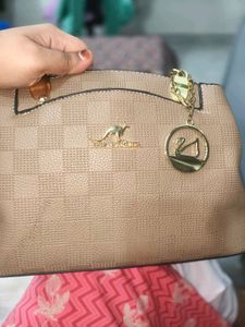 Luxury Handbag