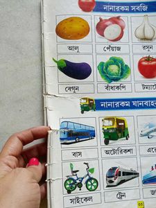 Bengali Alphabet Books
