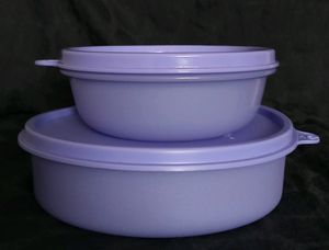 Tupperware Classic Lunch Box With Bag