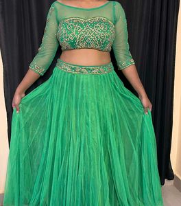 Net Lehenga Choli