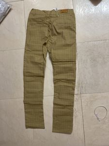 formal pant