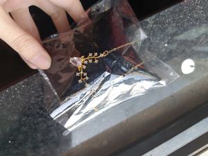 kRYSTALS Gold Plated Zircon Stainless Steel