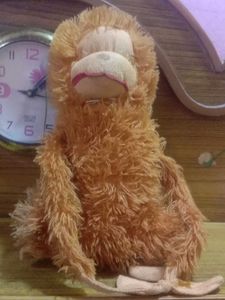 Dancing Cactus Toy ad 3 toys