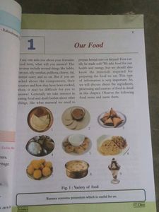 Class VI Science Textbook - Telangana