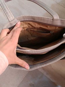 Handbag With Minor Chirpings