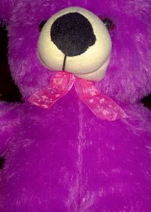 Soft Teddy Bear