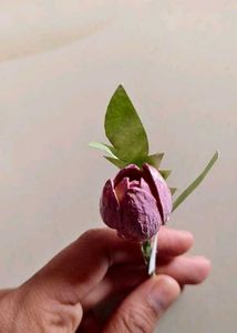 Cute Showpiece