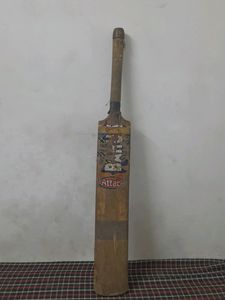 Barun Kashmiri Willow Bat