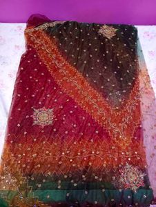 Embroidered Saare