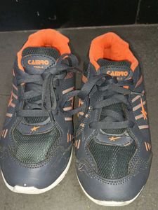 Sparx Campo Pixel-3 Running Shoes