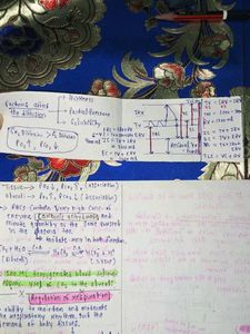 Handwritten Biology Notes