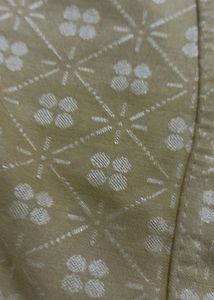 Golden Cream Color rediment  Blouse