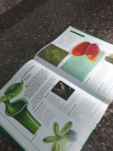 Book Of Plants - An Encyclopedia