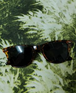 Trendy Sunglasses
