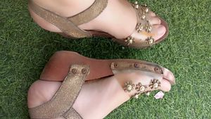 Elegant Beige Bellies