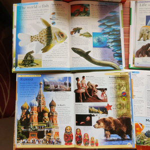 ✨Price drop✨ Young readers 5 encyclopaedia 🌸✨