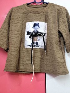 A Brown Fur Top Or Tshirt For Your Go To Look