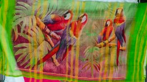 Elegant Daily Wear Sarees..