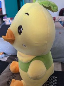 Soft Toys- For Childrens