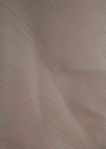 Fitted Cream Square-Neck Top | Minimalist Basic