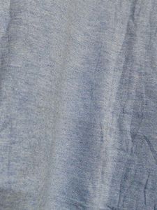 Dickies Boy Blue Cotton Graphic Print Tshirt