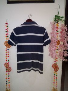 Indian Terrain Brad Tshirt