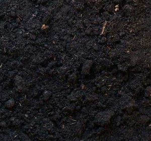 10 Pots 6 Inch , Vermi compost 1kg