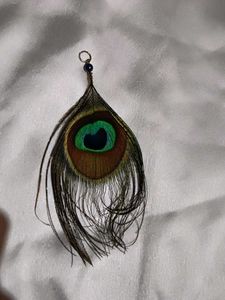 Peacock Feather Earrings