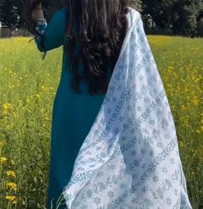 Teal Embroidered Nyra Suit Set