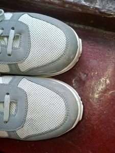 El Paso Gray &amp; White Sneakers