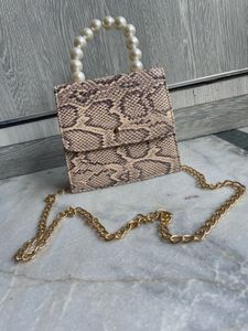 Snakeskin Clutch