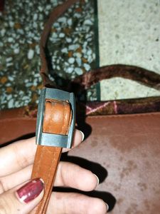 Bag Handbag / Shoulder