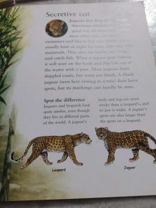 Children&#39;s Educational Books Set