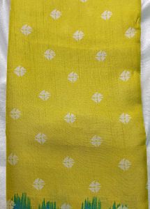 New Badhani Dola Silk Saree With Blouse For Women