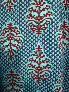 Blue Printed Kurti