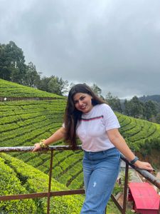 Striped Casual T-Shirt