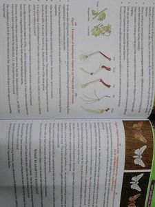 Narayana NEET Senior Botany &amp; Zoology Volumes