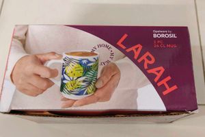 2 Borosil Coffee Mugs Set