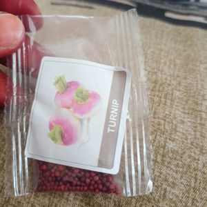 Vegetable Seeds